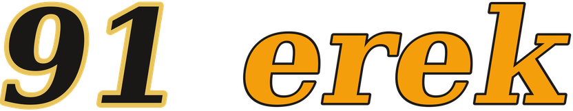 91 erek logo